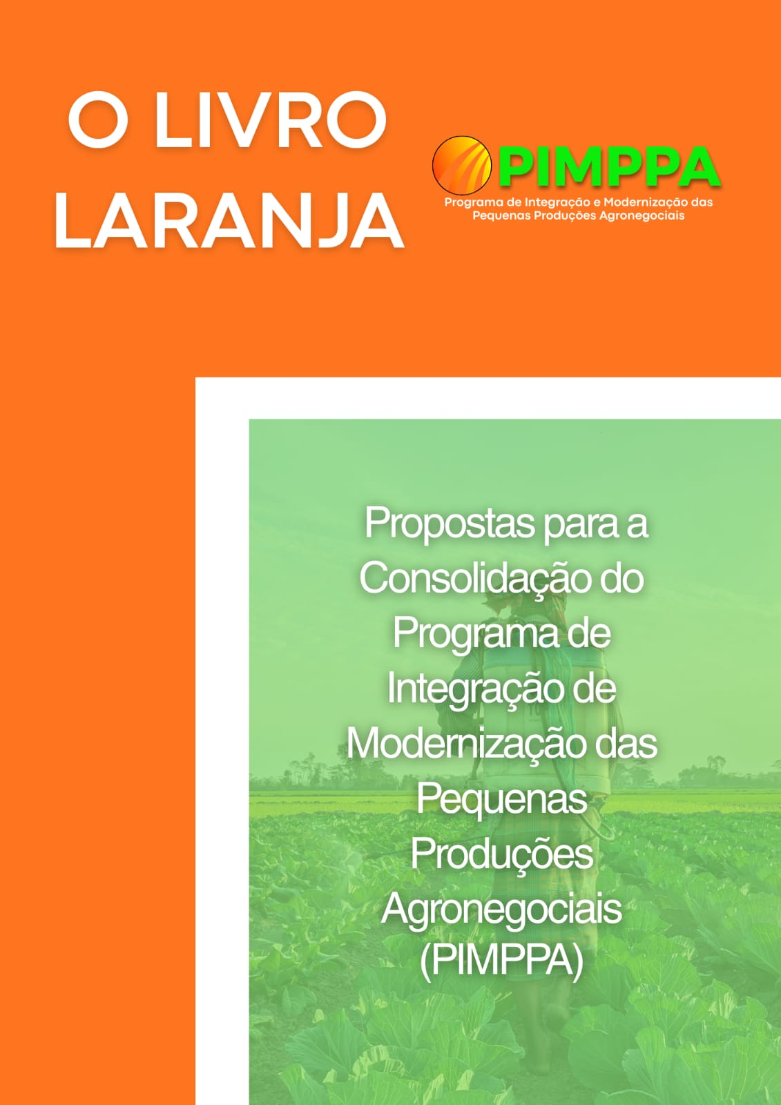 Capa ilustrada do Livro Laranja do PIMPPA